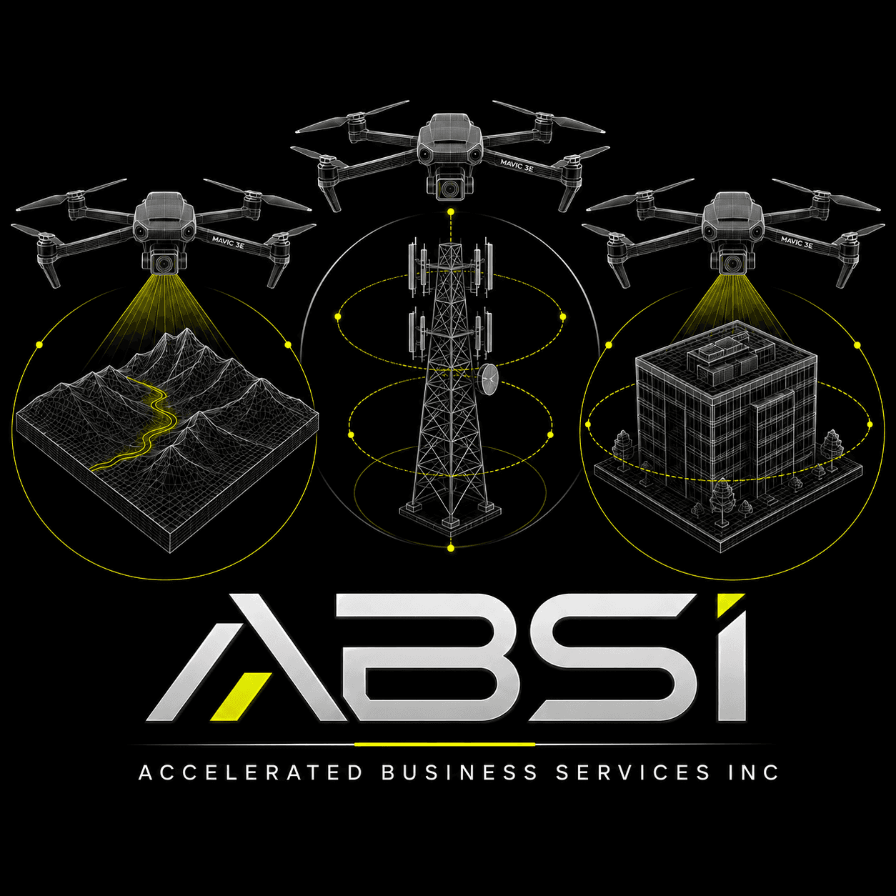 ABSI — Accelerated Business Services Inc.