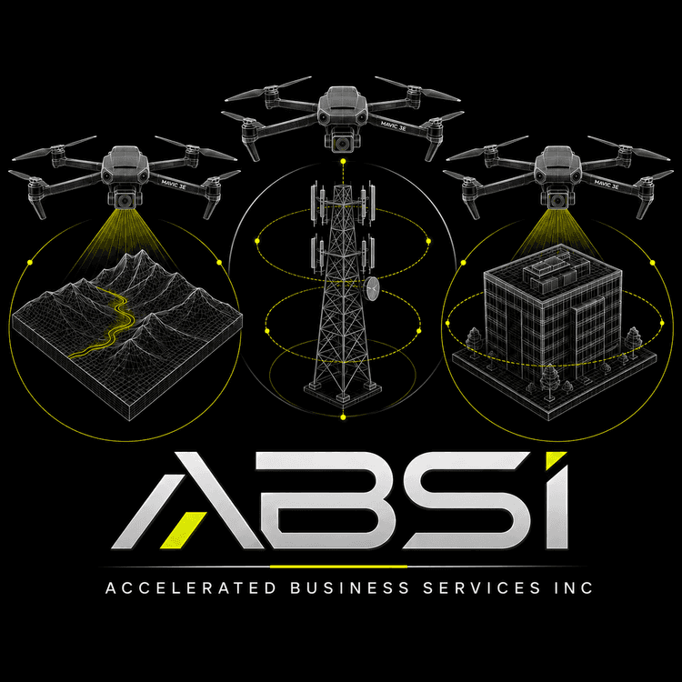 ABSI — Accelerated Business Services Inc.